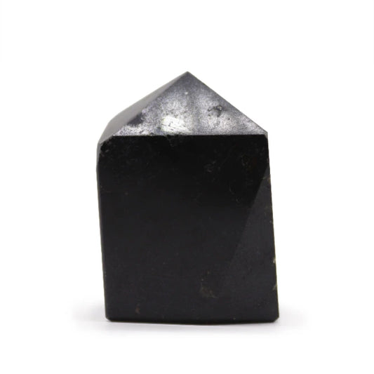 Punta Tormalina Indiana 6cm Cristallo Protezione-Pleyas